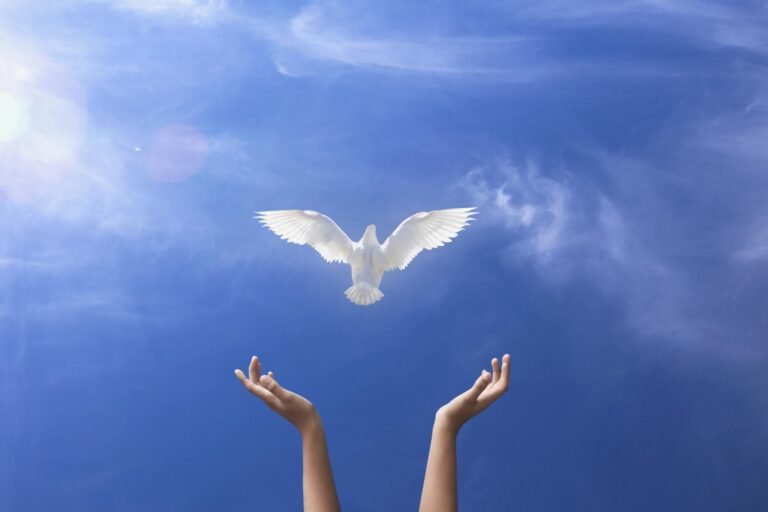 How You Can Be a Friend to the Holy Spirit