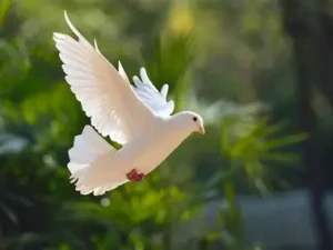 Top 15 Bible Verses about Comfort and Peace in Hard Times: Scriptures for Anxiety and Encouragement