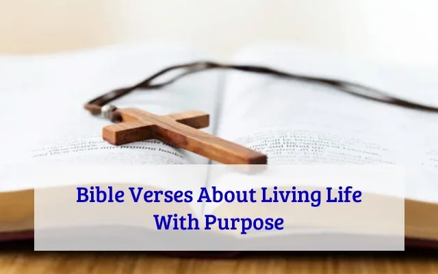 50+ Bible Verses About Living Life with Purpose